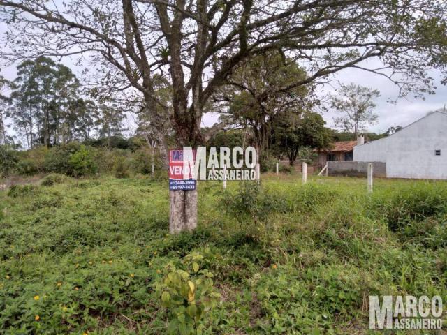Terreno para Venda em Balneário Barra do Sul - 5