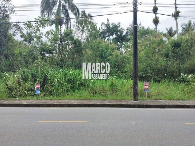 #388 - Terreno para Venda em Garuva - SC - 3