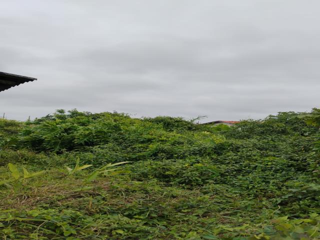 #898 - Terreno para Venda em Balneário Barra do Sul - SC