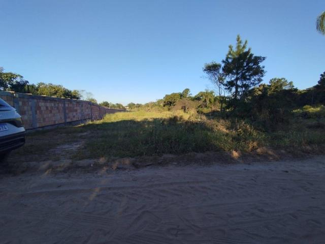 Terreno para Venda no Pinheiros em Balneário Barra do Sul SC