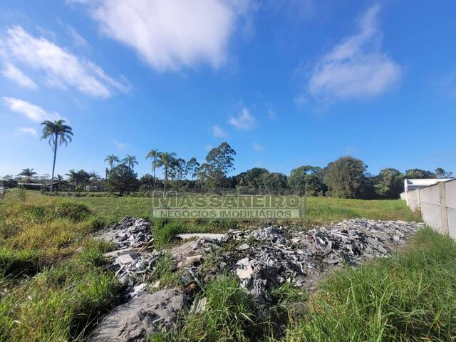 Terreno para Venda em Balneário Barra do Sul - 4