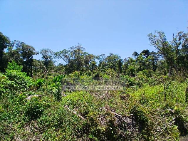 #974 - Terreno para Venda em Balneário Barra do Sul - SC