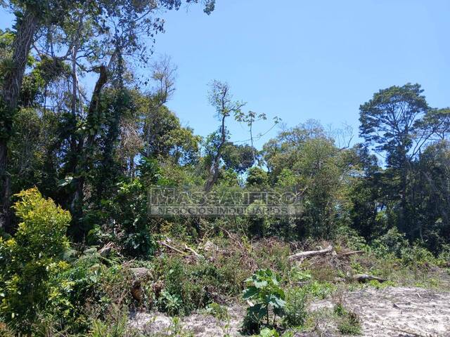 #976 - Terreno para Venda em Balneário Barra do Sul - SC