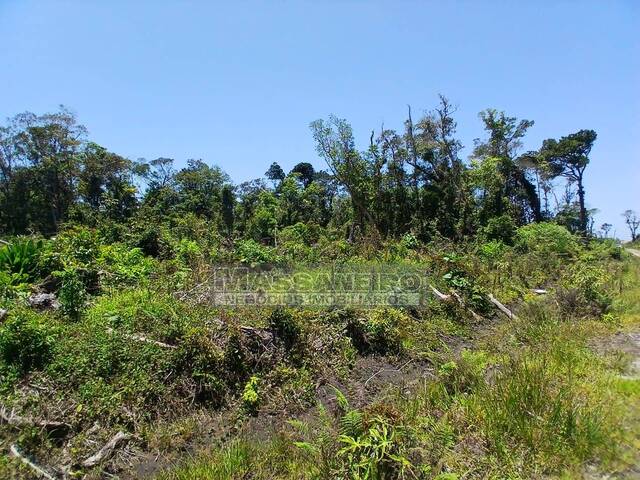 #977 - Terreno para Venda em Balneário Barra do Sul - SC