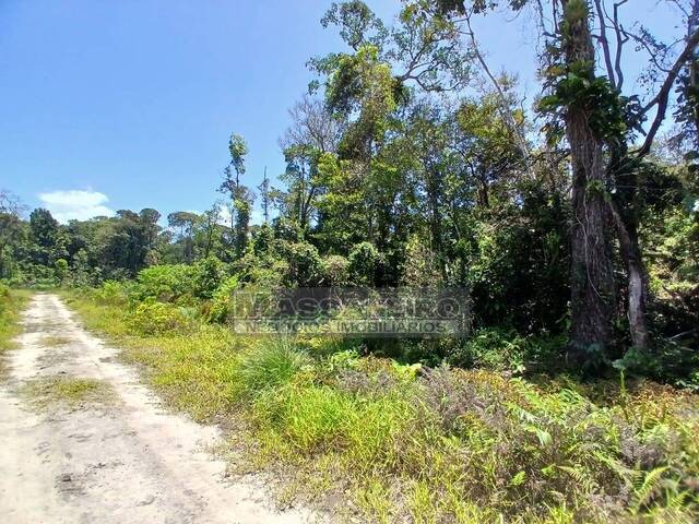 #978 - Terreno para Venda em Balneário Barra do Sul - SC