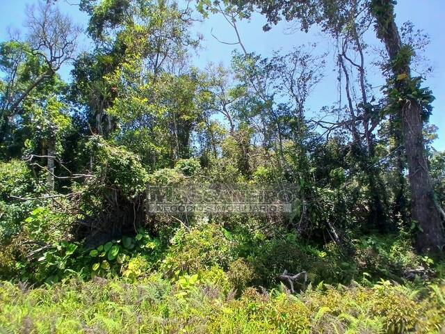 #979 - Terreno para Venda em Balneário Barra do Sul - SC