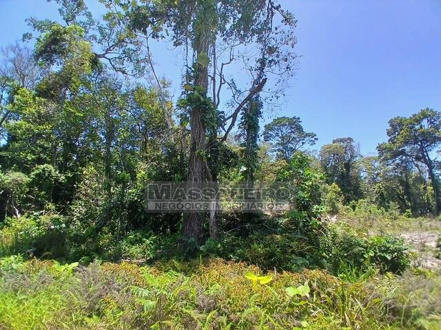 #980 - Terreno para Venda em Balneário Barra do Sul - SC