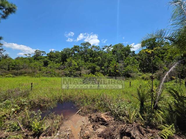 Terreno para Venda em Balneário Barra do Sul - 4