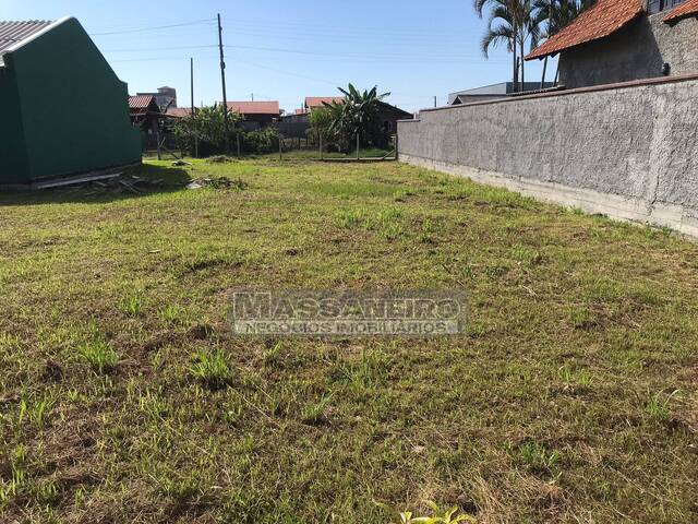 Terreno para Venda em Balneário Barra do Sul - 4