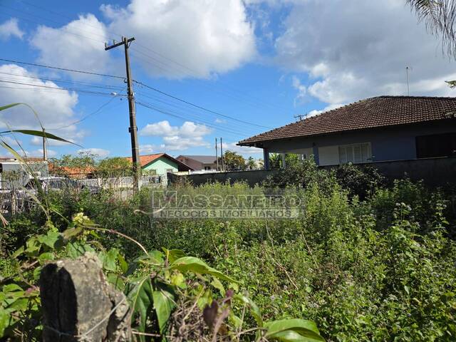 Terreno para Venda em Balneário Barra do Sul - 3
