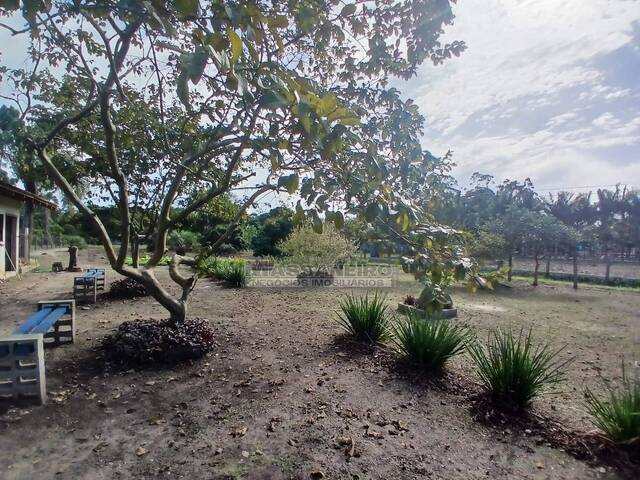 Chácara para Venda em Balneário Barra do Sul - 5