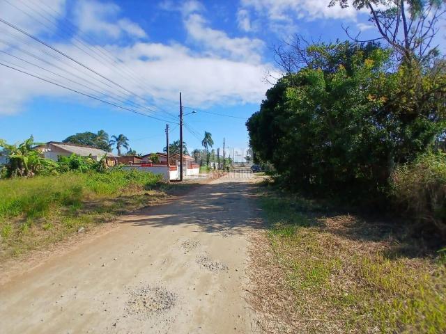 Terreno para Venda em Balneário Barra do Sul - 5