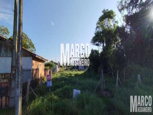 Terreno para Venda em Balneário Barra do Sul - 4