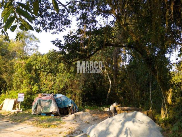 #766 - Terreno para Venda em Balneário Barra do Sul - SC - 3