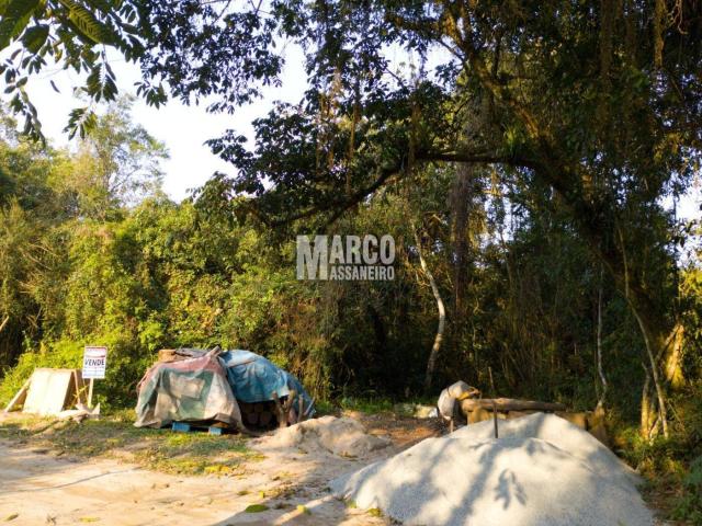 Terreno para Venda em Balneário Barra do Sul - 4