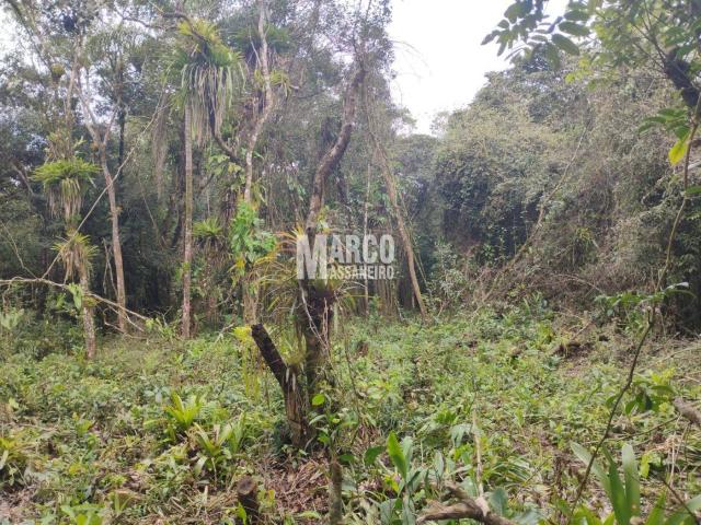 Terreno para Venda em Balneário Barra do Sul - 4