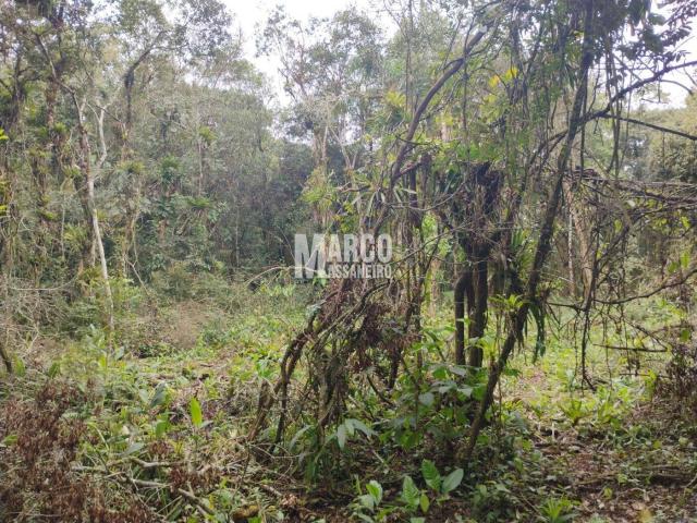 Terreno para Venda em Balneário Barra do Sul - 5
