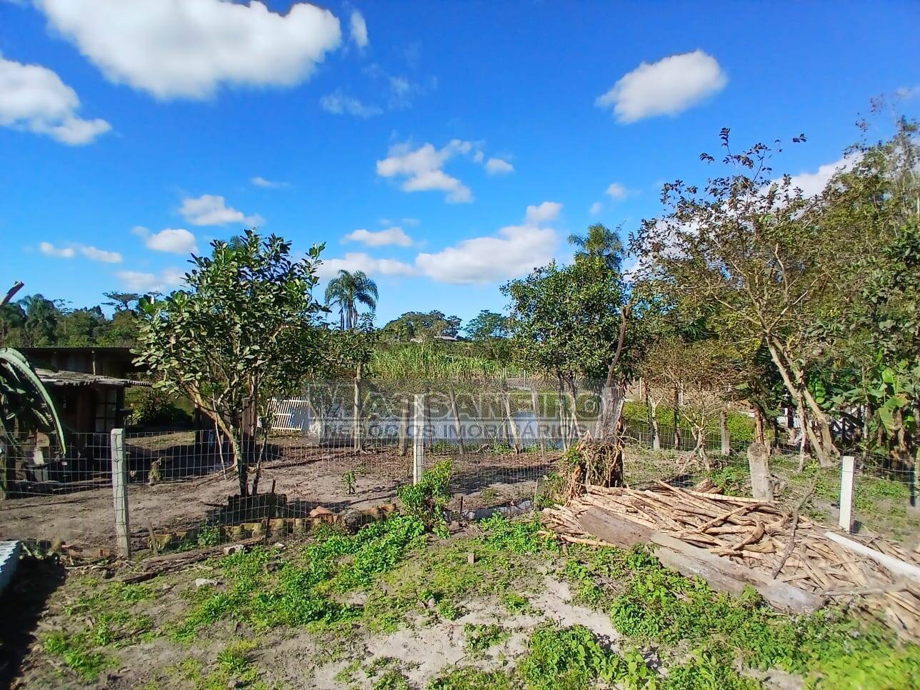 Chácara, 5 quartos, 7500 m² - Foto 2