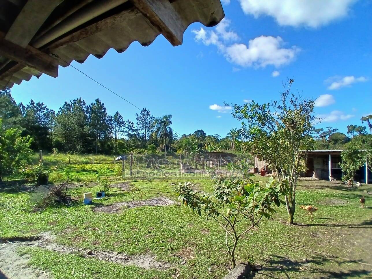 Chácara, 5 quartos, 7500 m² - Foto 9