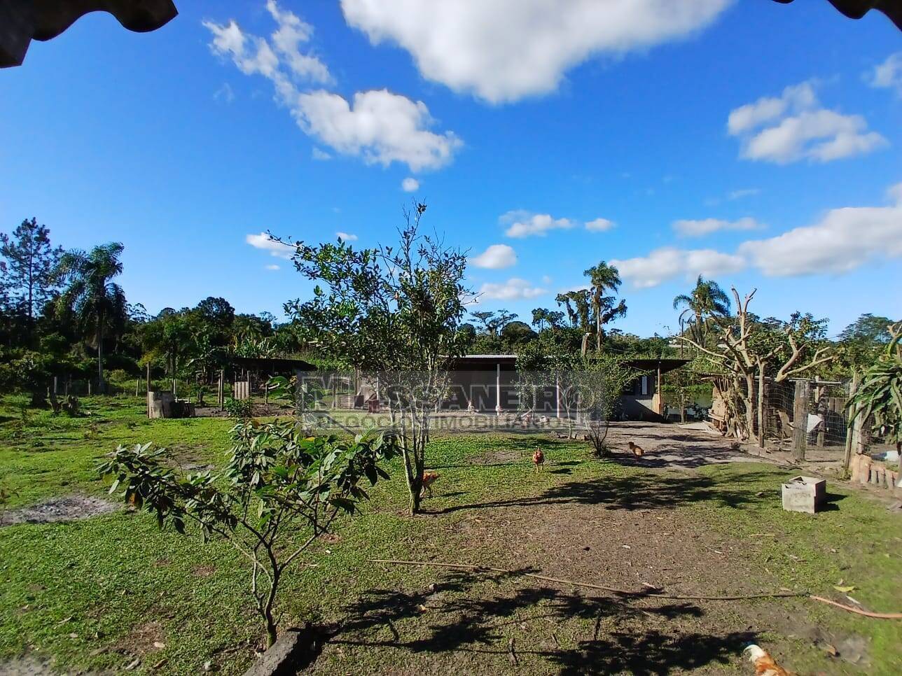 Chácara, 5 quartos, 7500 m² - Foto 11