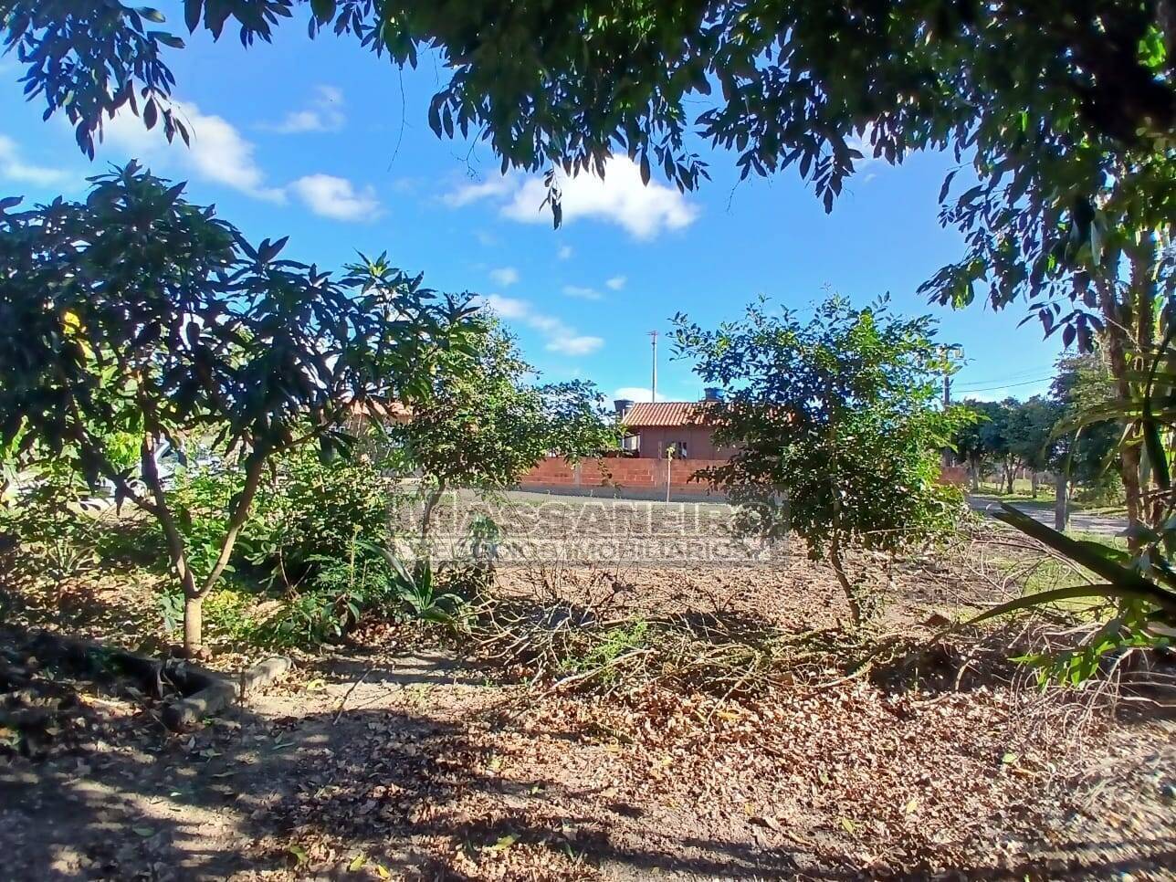 Chácara, 5 quartos, 7500 m² - Foto 43