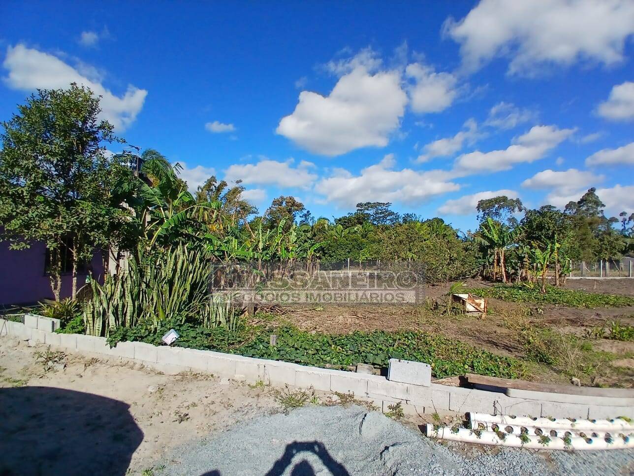 Chácara, 5 quartos, 7500 m² - Foto 45