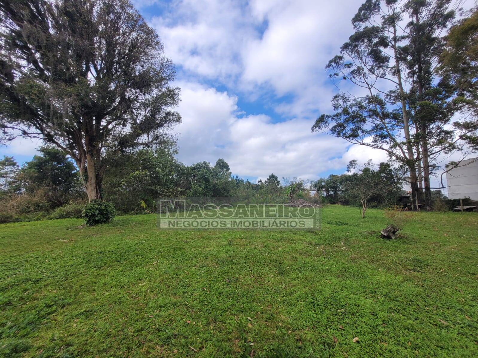 Chácara, 3 quartos, 7739 m² - Foto 7