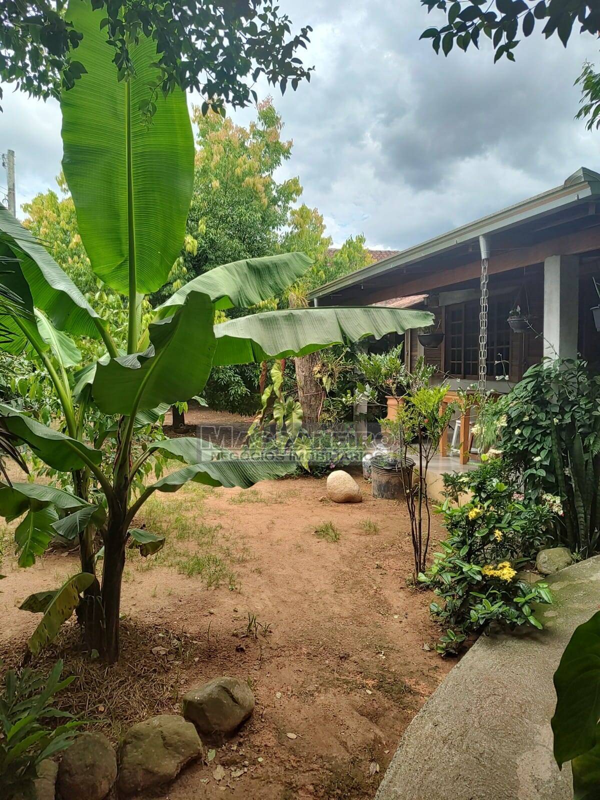 Casa, 5 quartos, 220 m² - Foto 19