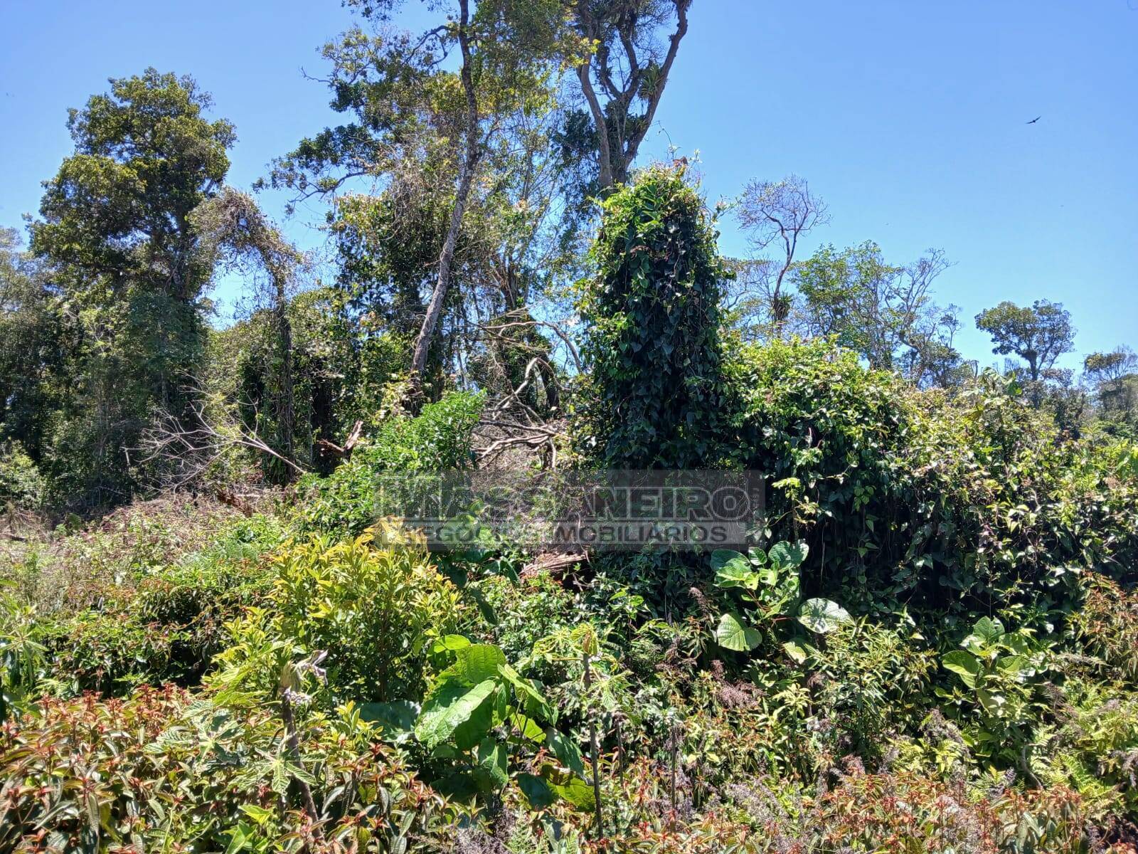 Terreno, 360 m² - Foto 1