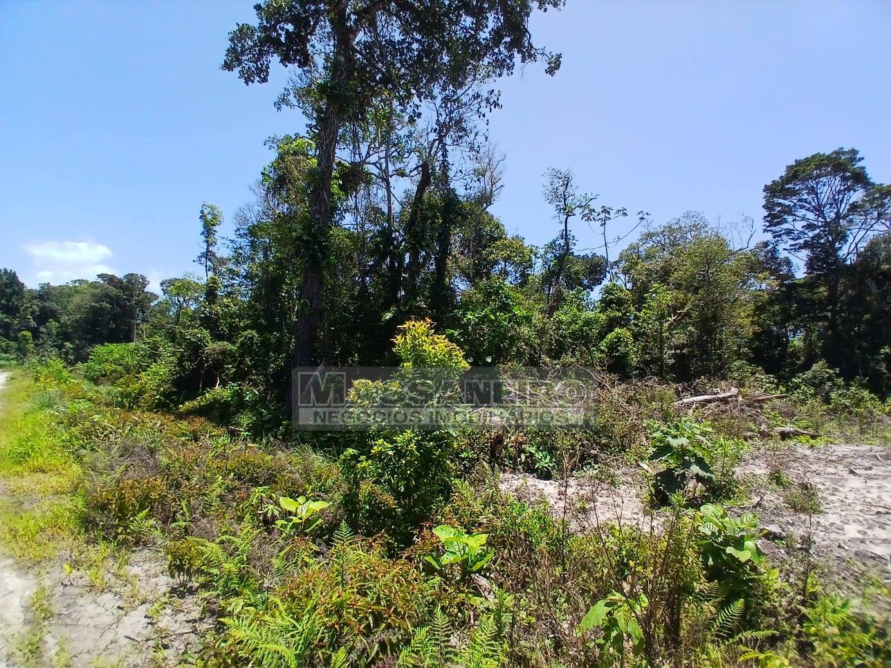 Terreno, 442 m² - Foto 1