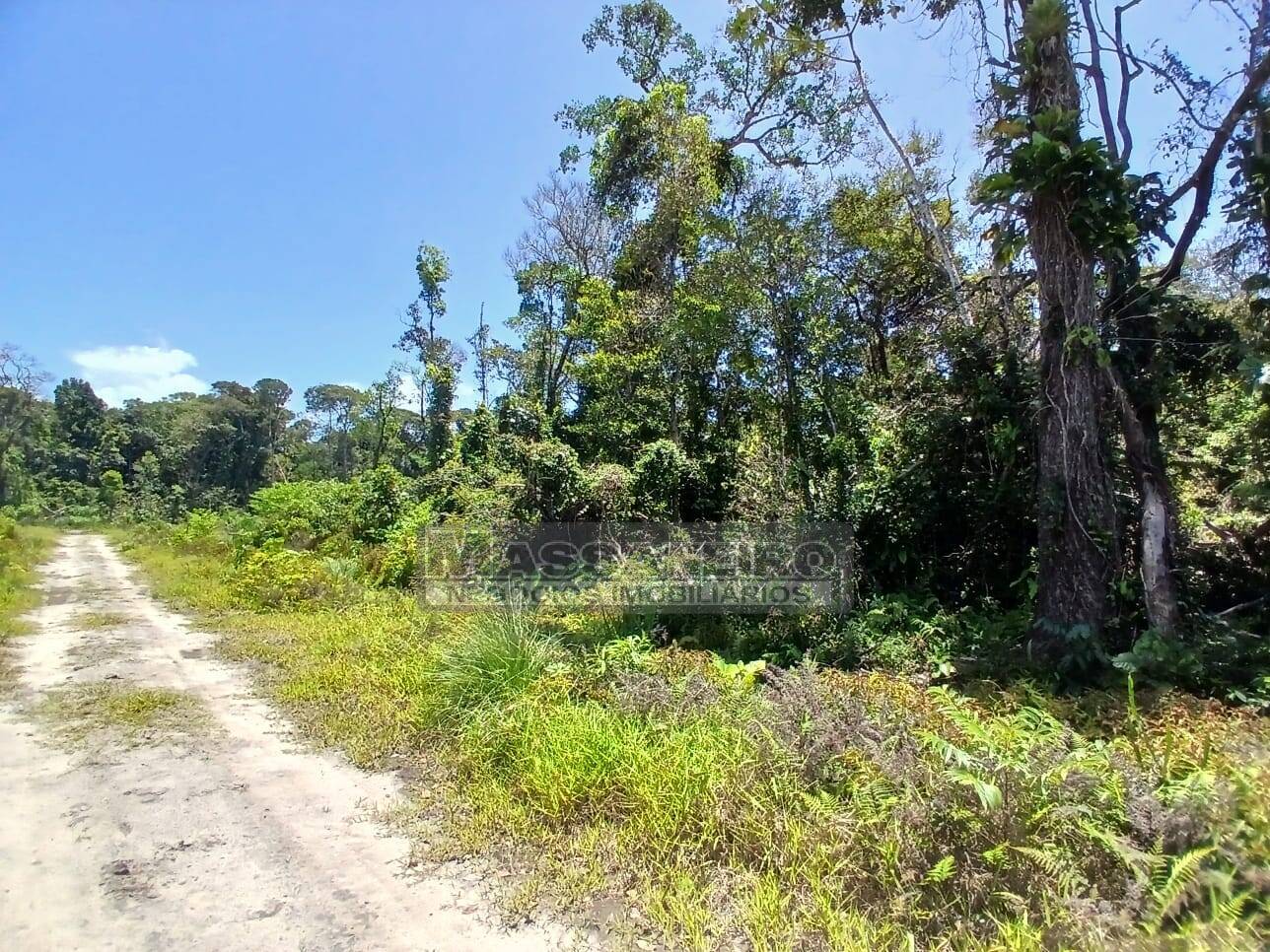 Terreno, 442 m² - Foto 2