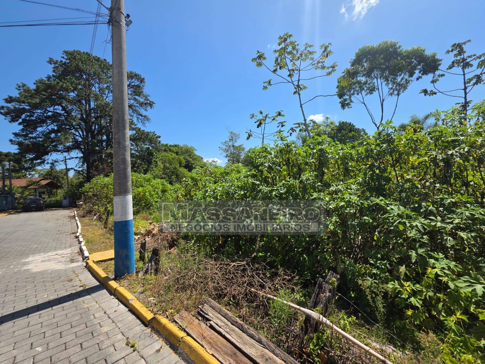 Terreno, 4000 m² - Foto 4