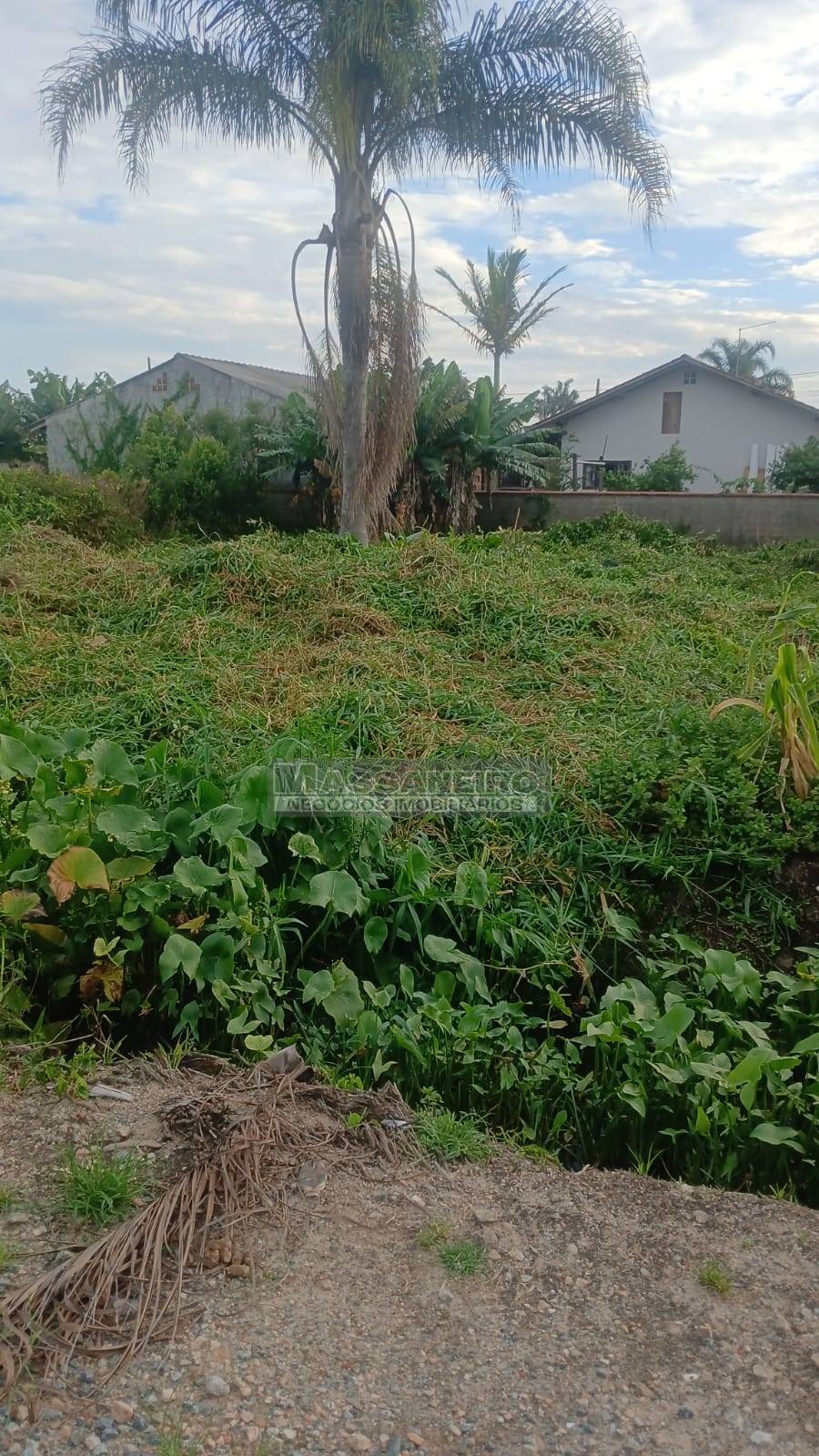 Terreno, 345 m² - Foto 13