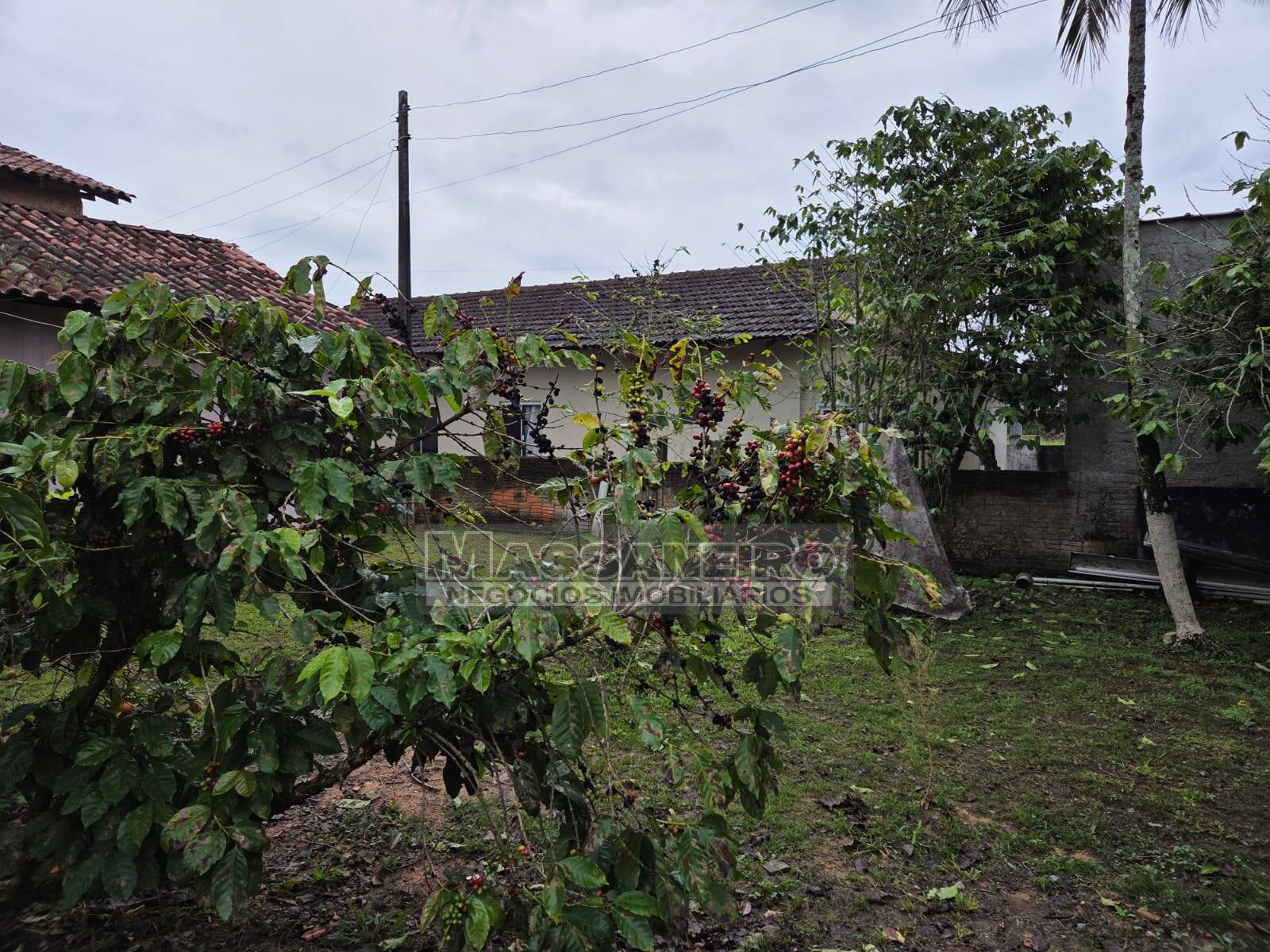 Casa, 8 quartos - Foto 44